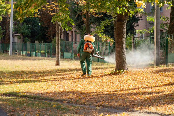 Wildlife Control Services in Plymouth, MN